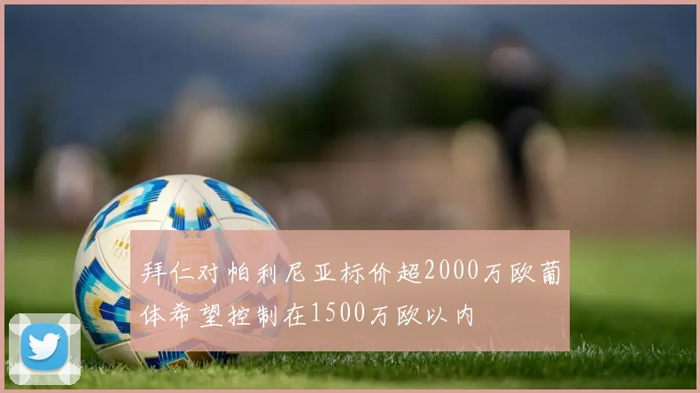 拜仁对帕利尼亚标价超2000万欧葡体希望控制在1500万欧以内